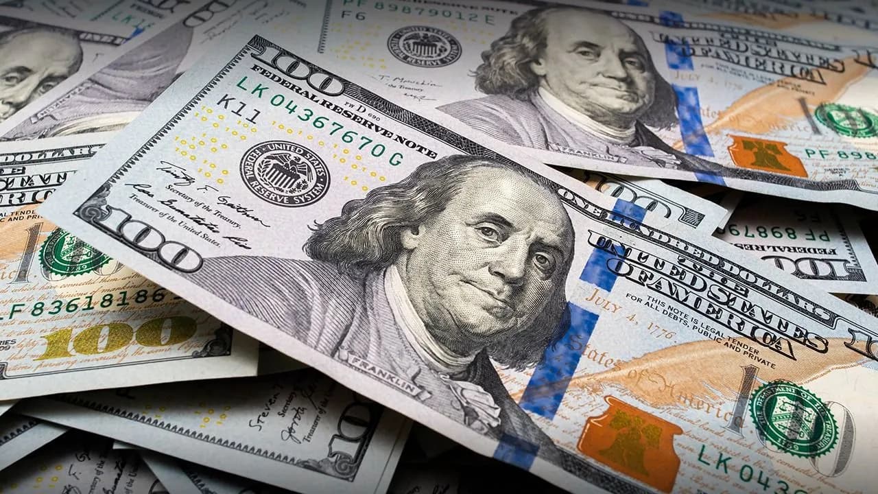 photologuephotos2024-08dolares_freepikjpeg photologuephotos2024-08dolares_freepikjpeg