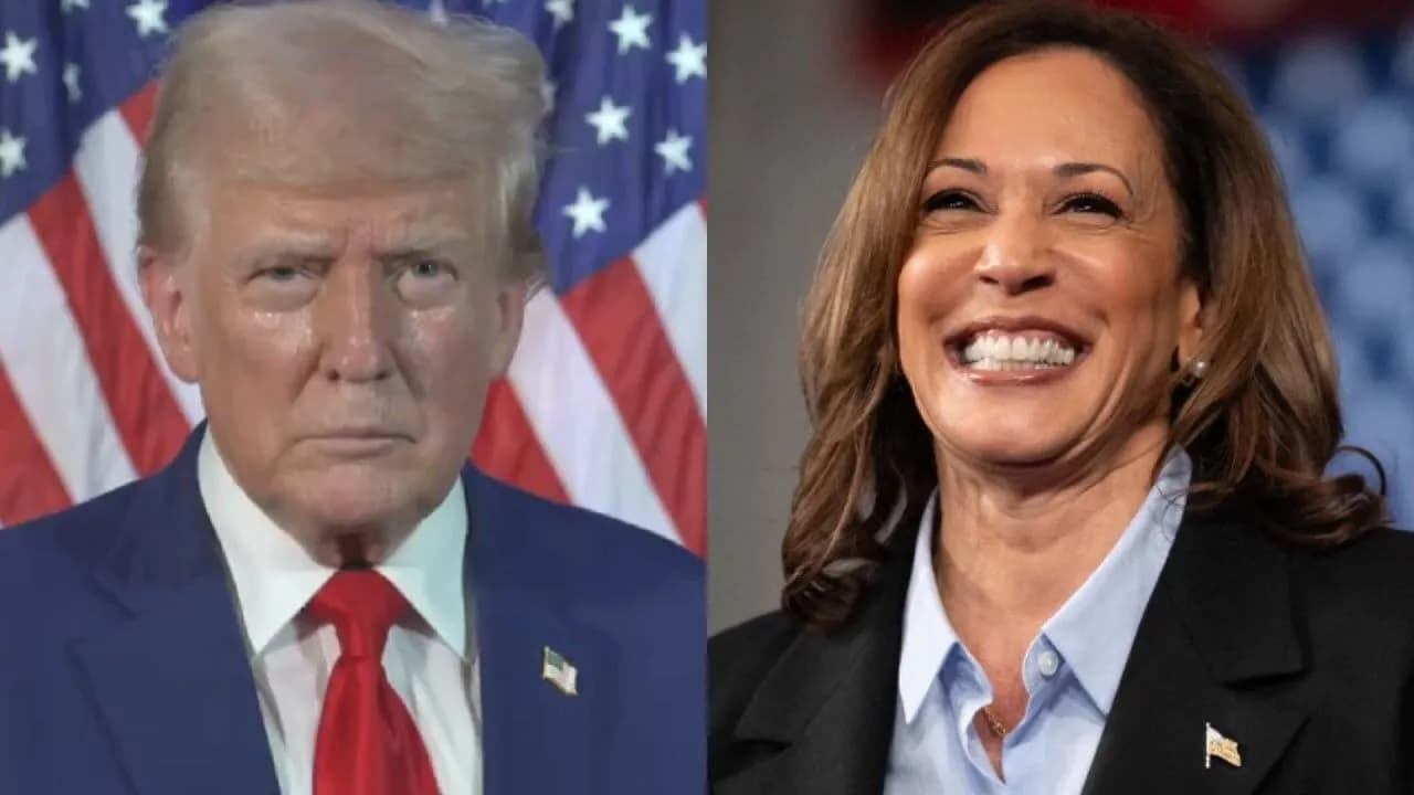 trump-harris.jpg trump-harris.jpg