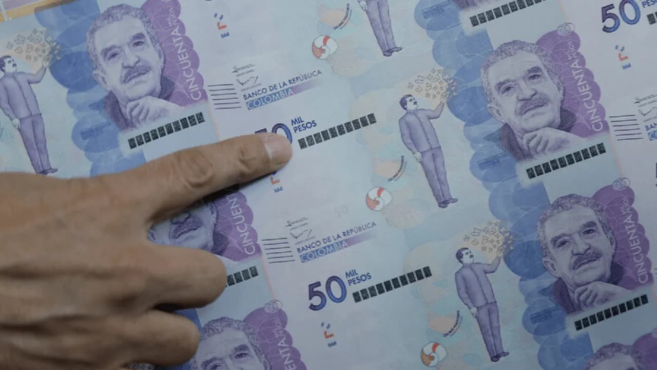 photologuephotos2024-11billetes_foto_colprensapng photologuephotos2024-11billetes_foto_colprensapng