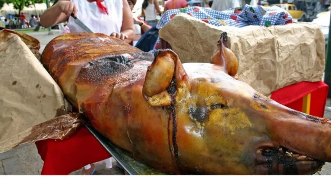 photologuephotos2024-10lechona_plato_tipico_colombianojpg photologuephotos2024-10lechona_plato_tipico_colombianojpg