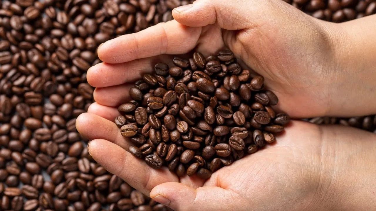 photologuephotos2024-10flat-lay-hands-holding-coffee-beans_1jpg photologuephotos2024-10flat-lay-hands-holding-coffee-beans_1jpg