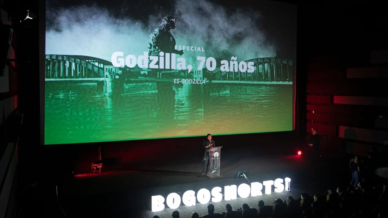 photologuephotos2024-11noche_de_la_revelacion_22bogoshorts_2024_3jpg photologuephotos2024-11noche_de_la_revelacion_22bogoshorts_2024_3jpg