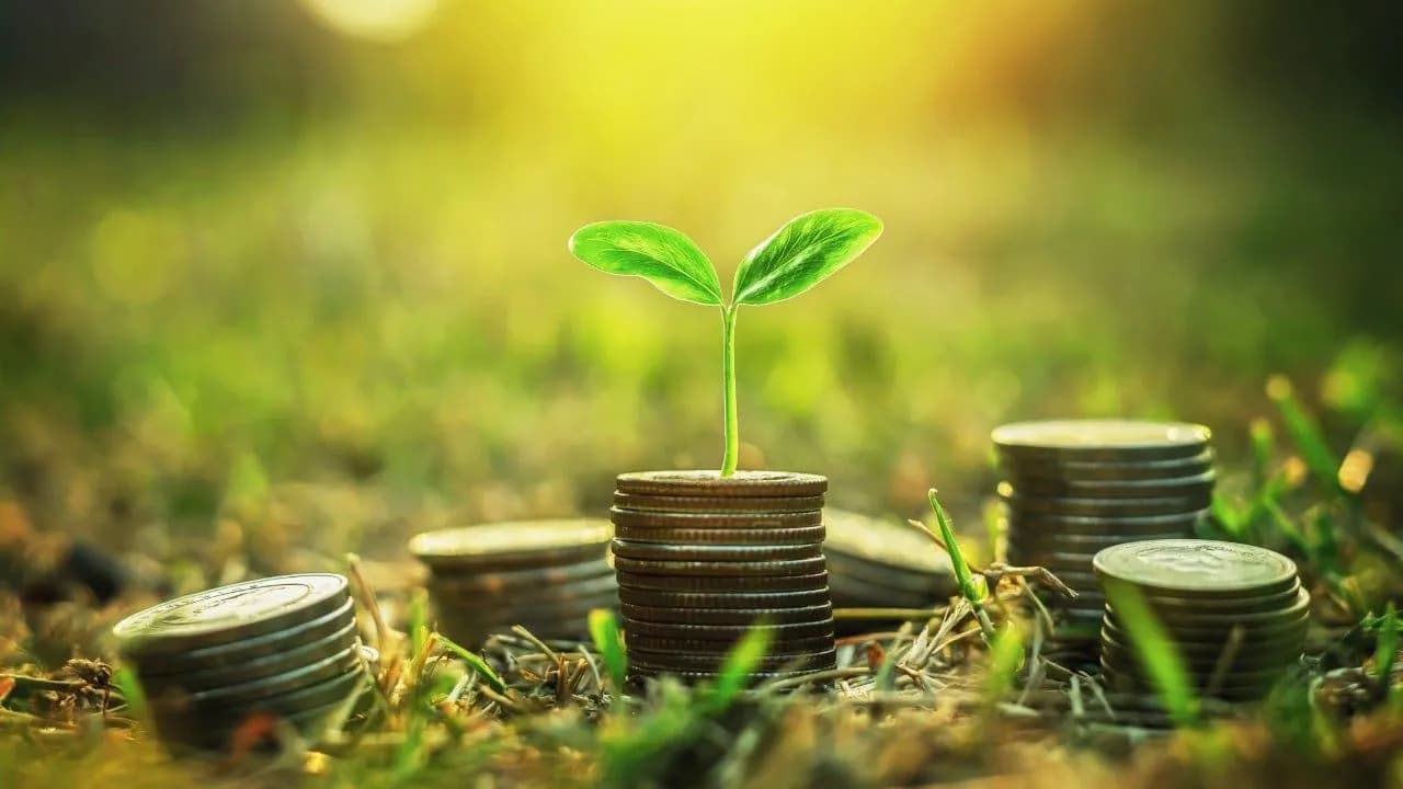photologuephotos2025-03coins-stack-with-step-growing-plant-sunshine-background-concept-saving-money_1jpg photologuephotos2025-03coins-stack-with-step-growing-plant-sunshine-background-concept-saving-money_1jpg