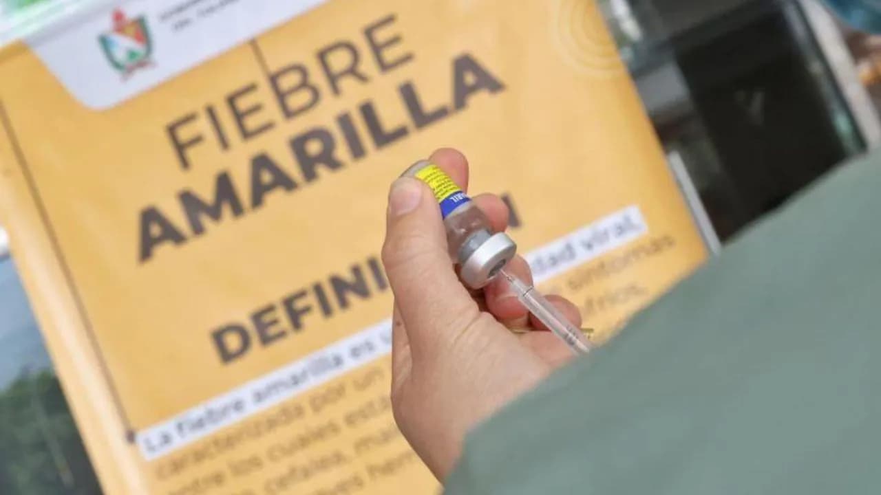 photologuephotos2025-06el_ministerio_de_salud_hizo_un_llamado_a_vacunarse_contra_la_fiebre_amarilla_ante_el_aumento_de_casos_en_el_paisjpg photologuephotos2025-06el_ministerio_de_salud_hizo_un_llamado_a_vacunarse_contra_la_fiebre_amarilla_ante_el_aumento_de_casos_en_el_paisjpg