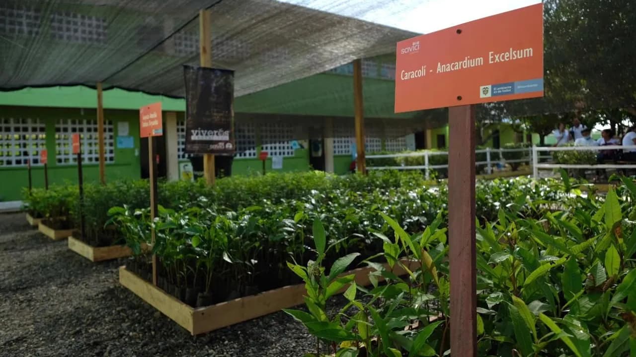 MinAmbiente entrega viveros MinAmbiente entrega viveros