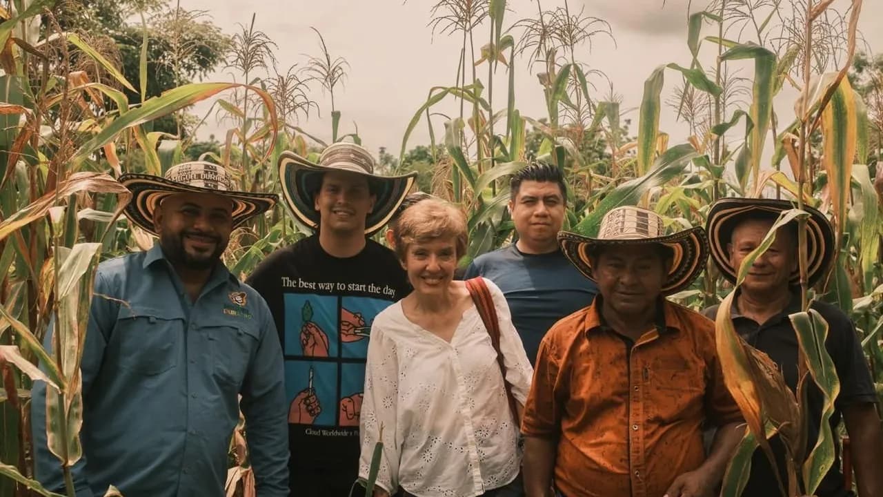 Tacaloa, defensa del maíz nativo Tacaloa, defensa del maíz nativo