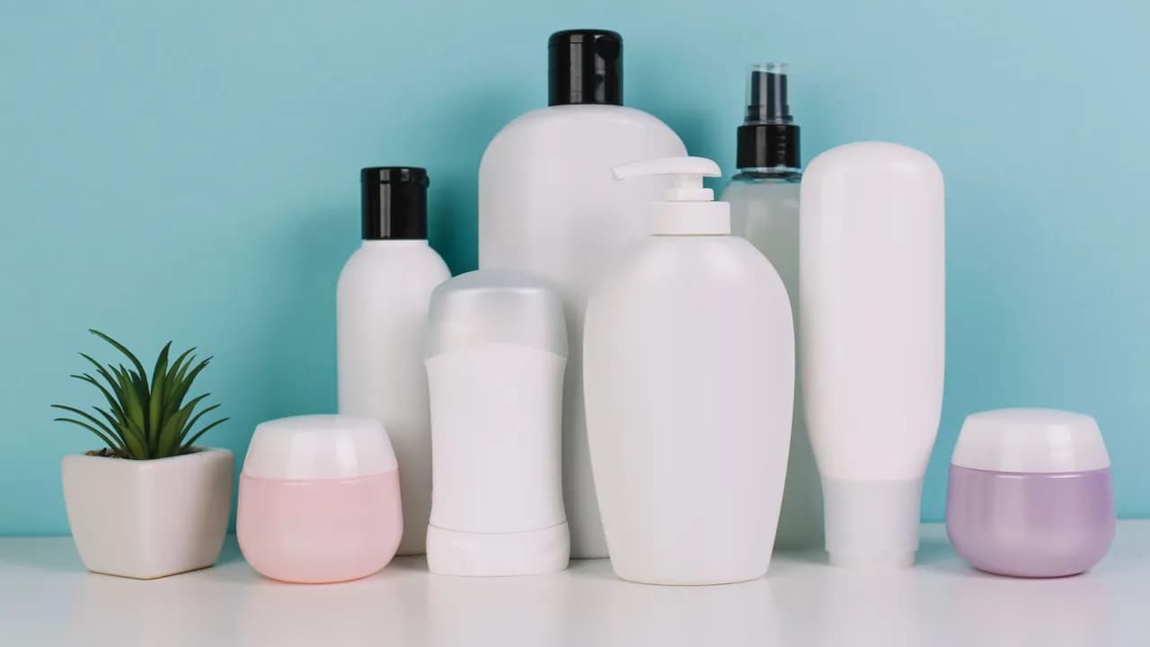 photologuephotos2022-10small-plant-near-various-cosmetics-bottlesjpg photologuephotos2022-10small-plant-near-various-cosmetics-bottlesjpg