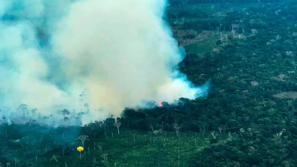 photologuephotos2022-02incendios_amazonia3_1jpeg photologuephotos2022-02incendios_amazonia3_1jpeg